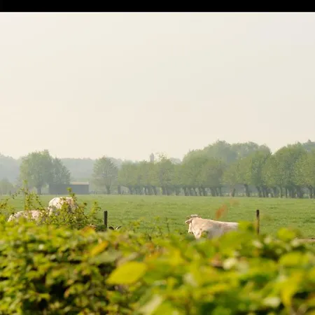 Bed & Breakfast Domein Het Weiland Damme