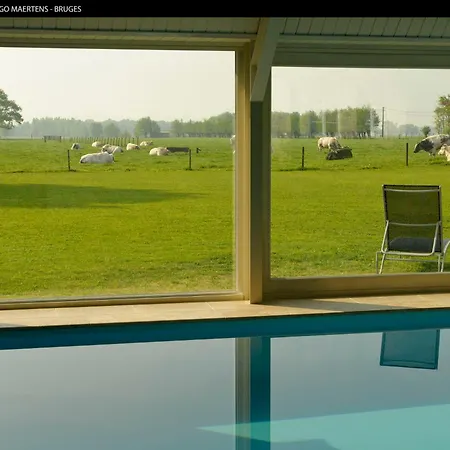 Bed & Breakfast Domein Het Weiland 4*