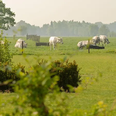 Domein Het Weiland 4*