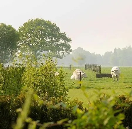 Domein Het Weiland 4* Damme